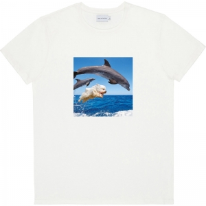 DOLPHINS natural