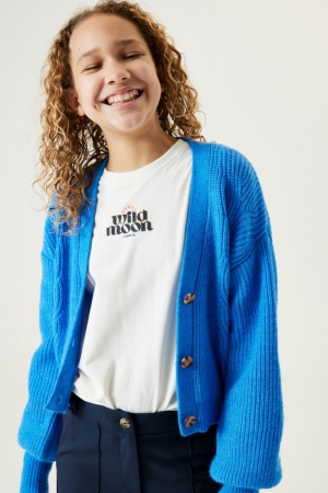  3411 Nordic Blu