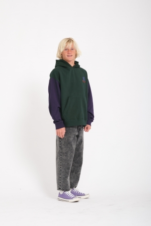 C4132304 ponderose Pine
