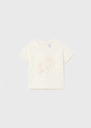  053 Chickpea