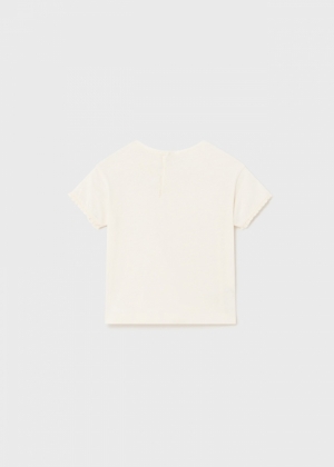  053 Chickpea