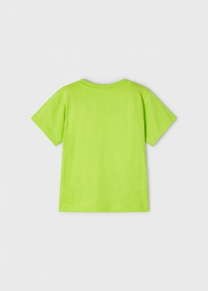  011 Kiwi