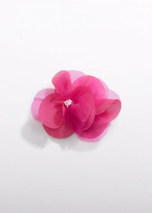  081 Fuchsia