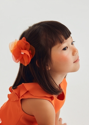  082 Persimmon
