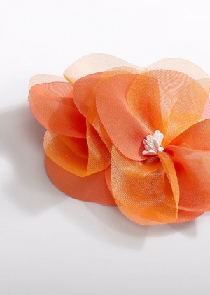  082 Persimmon