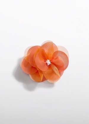  082 Persimmon