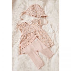  Creme