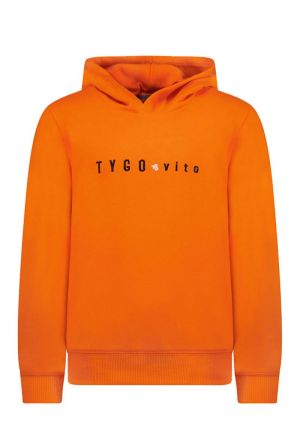 Orange Clownfis