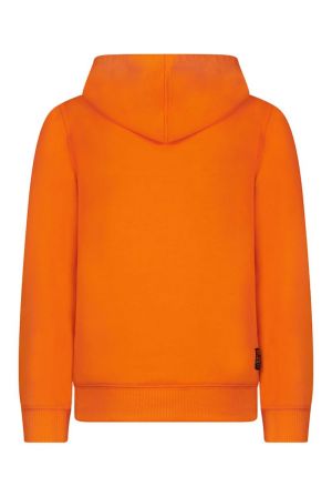  Orange Clownfis