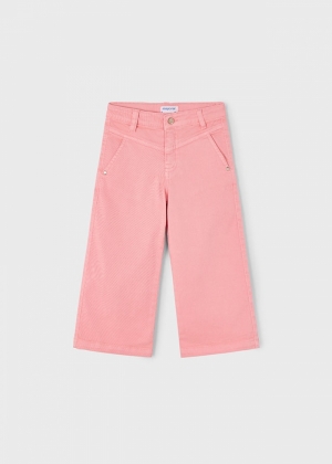  043 Salmon