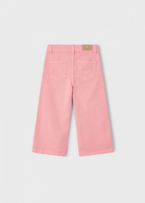  043 Salmon