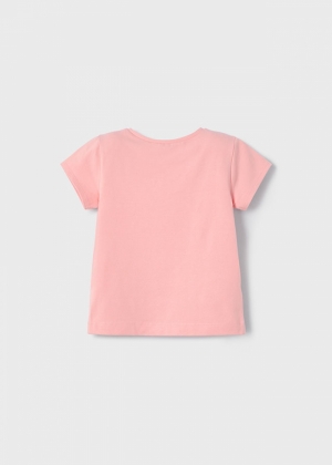 073 Salmon