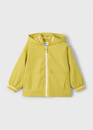  041 Dark Gold