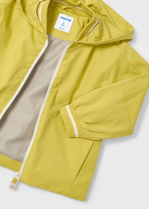  041 Dark Gold