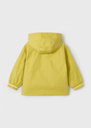  041 Dark Gold