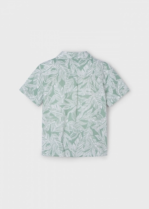  082 Dark Laurel