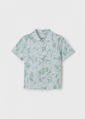  082 Dark Laurel