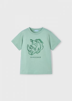  073 Bayleaf