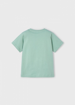  073 Bayleaf