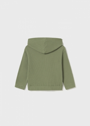  069 Sage