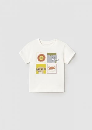  019 Cream