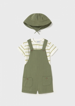  014 Sage