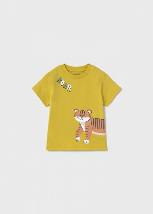  019 Gold