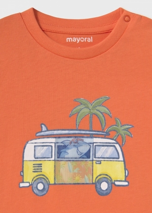  044 Coral