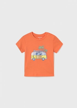  044 Coral