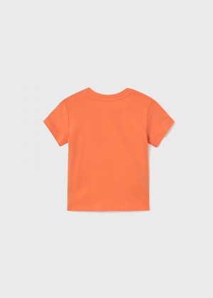  044 Coral