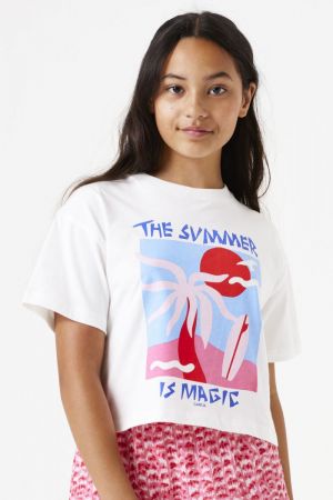  Off White 