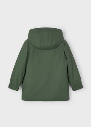 027 Olive