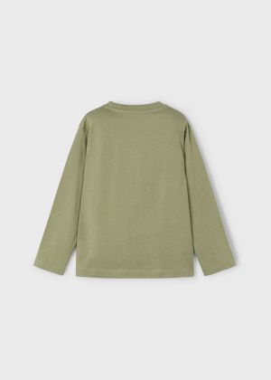  082 Pistachio