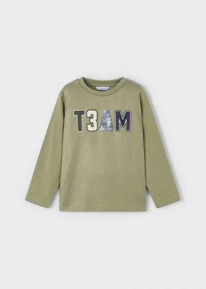  082 Pistachio