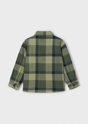  031 Olive
