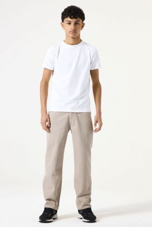  6658 Tree brown