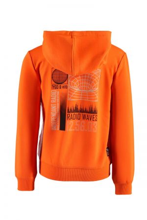  Orange Clownfis