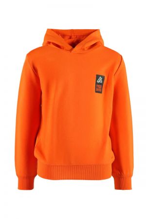  Orange Clownfis
