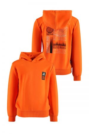  Orange Clownfis