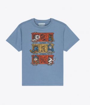 Timber Boxcar BMK0 Blue mirag