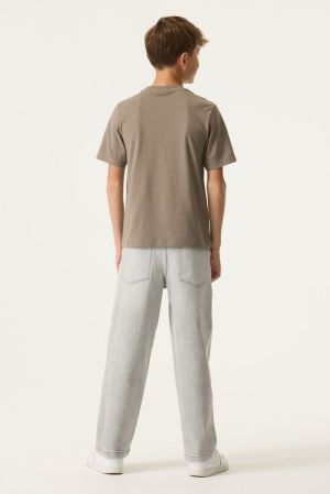  Taupe Grey
