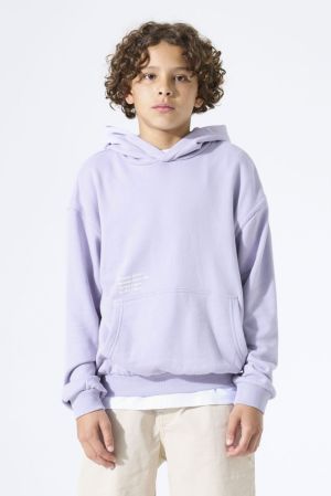  Misty Lilac