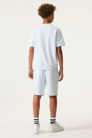 6735 Dusy aqua