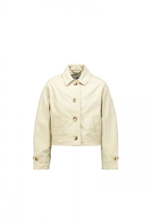  Linen