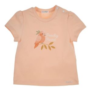  Apricot