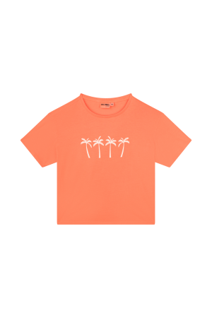  Fluo orange