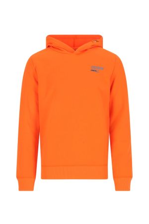  Orange Clownfis