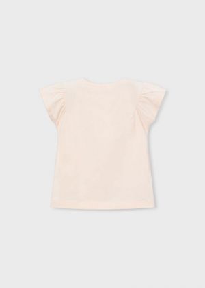  080 Salmon