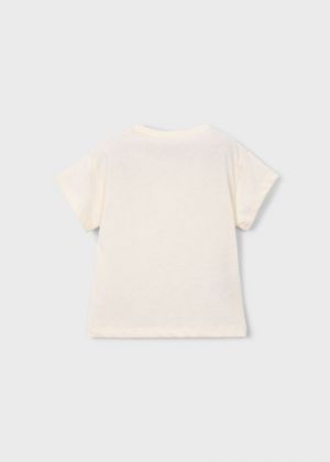  079 Chickpea
