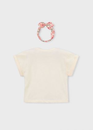 093 Chickpea